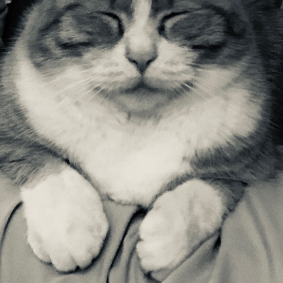 Meet your Posher, Susan - Picture 1 of 1